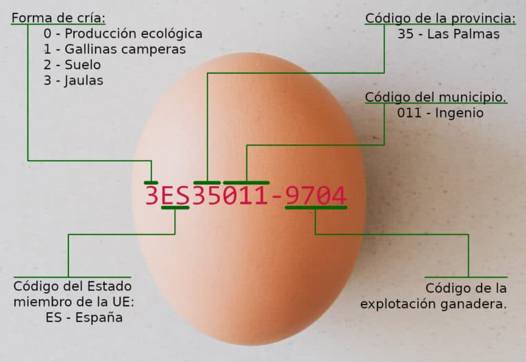 Foto de huevos frescos